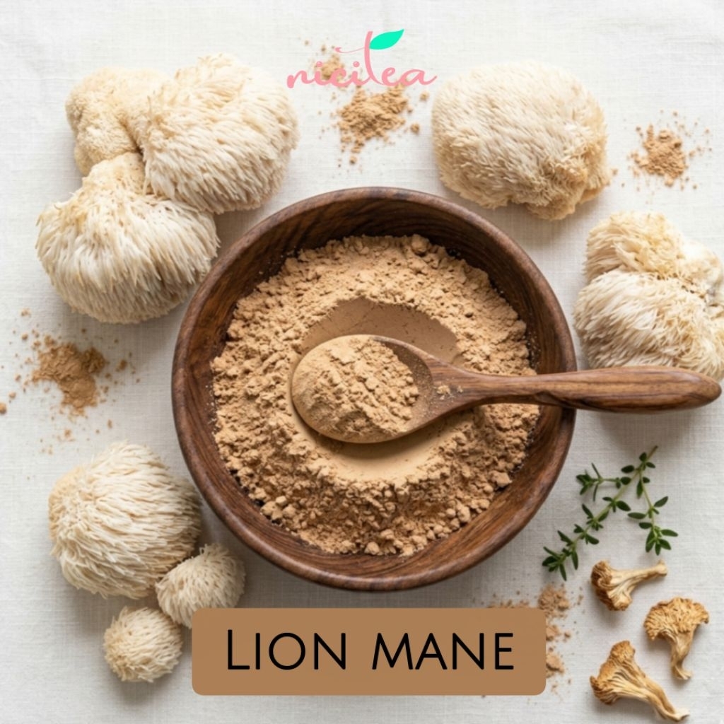 LION MANE POWDER 25gram - NICITEA / Bubuk jamur lion mane / Superfood Powder / Bubuk Jamur Lion Mane