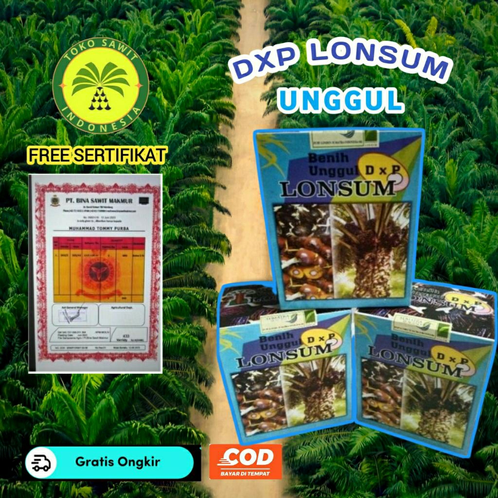 Bibit sawit Lonsum Bersertifikat asli medan