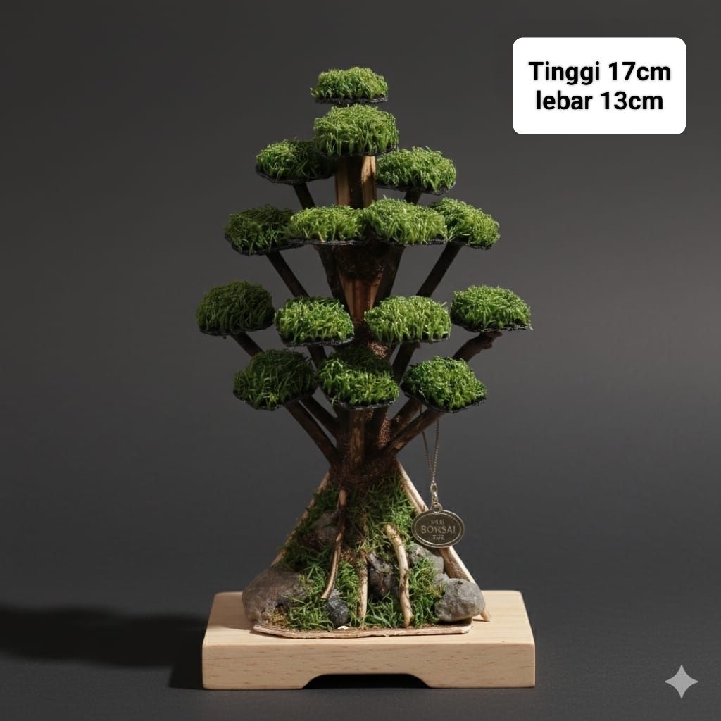 BONSAI AQUASCAPE PINUS