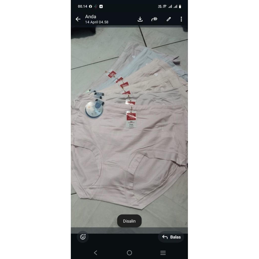 3pcs cd elena 9525