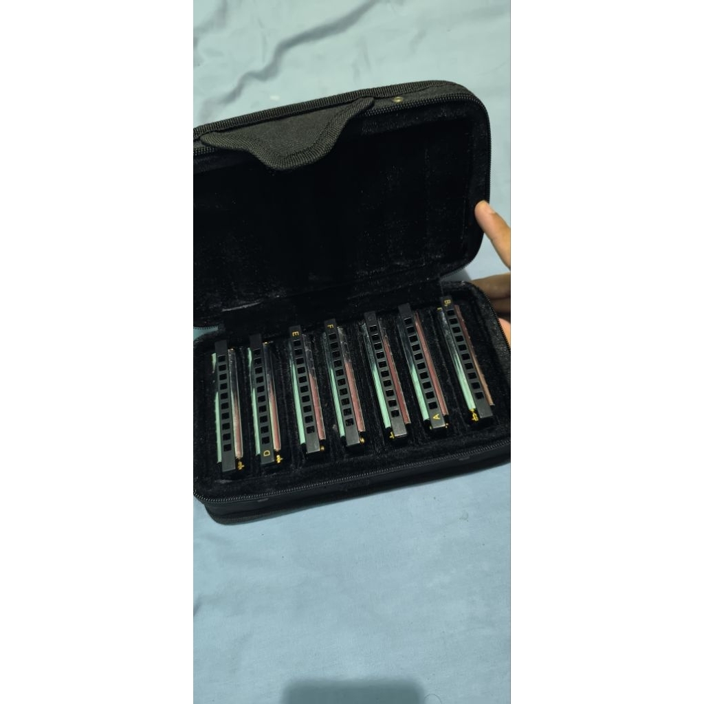 Harmonika Second Bekas Pakai.HARMONICA HOHNER BLUES DIATONIC SET ISI 7 KEY