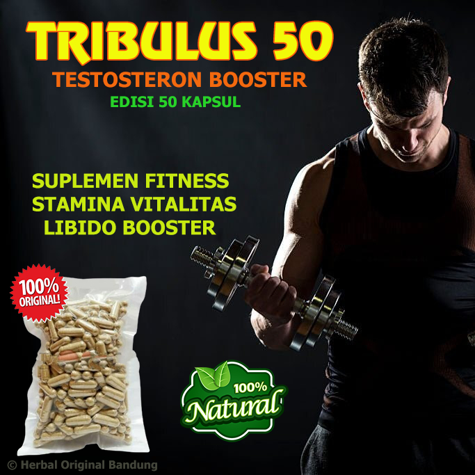 TRIBULUS TESTOSTERON Terrestris Suplemen Fitness Pembentuk Otot Stamina Vitalitas Pria 50 Kapsul