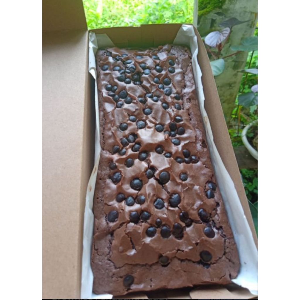 fudgy brownies sedang ukuran 20x10. // brownies panggang dengan 15 sekat