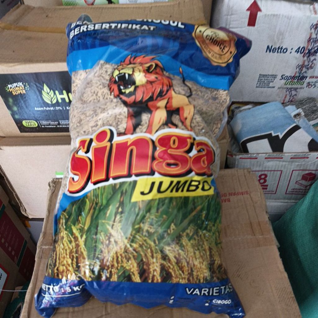 Benih Padi Varietas Cibogo berlabel