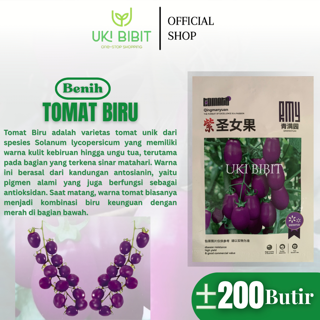 Kemasan Original | Benih Biji Tomat | Tomat Biru | Tomat Hitam