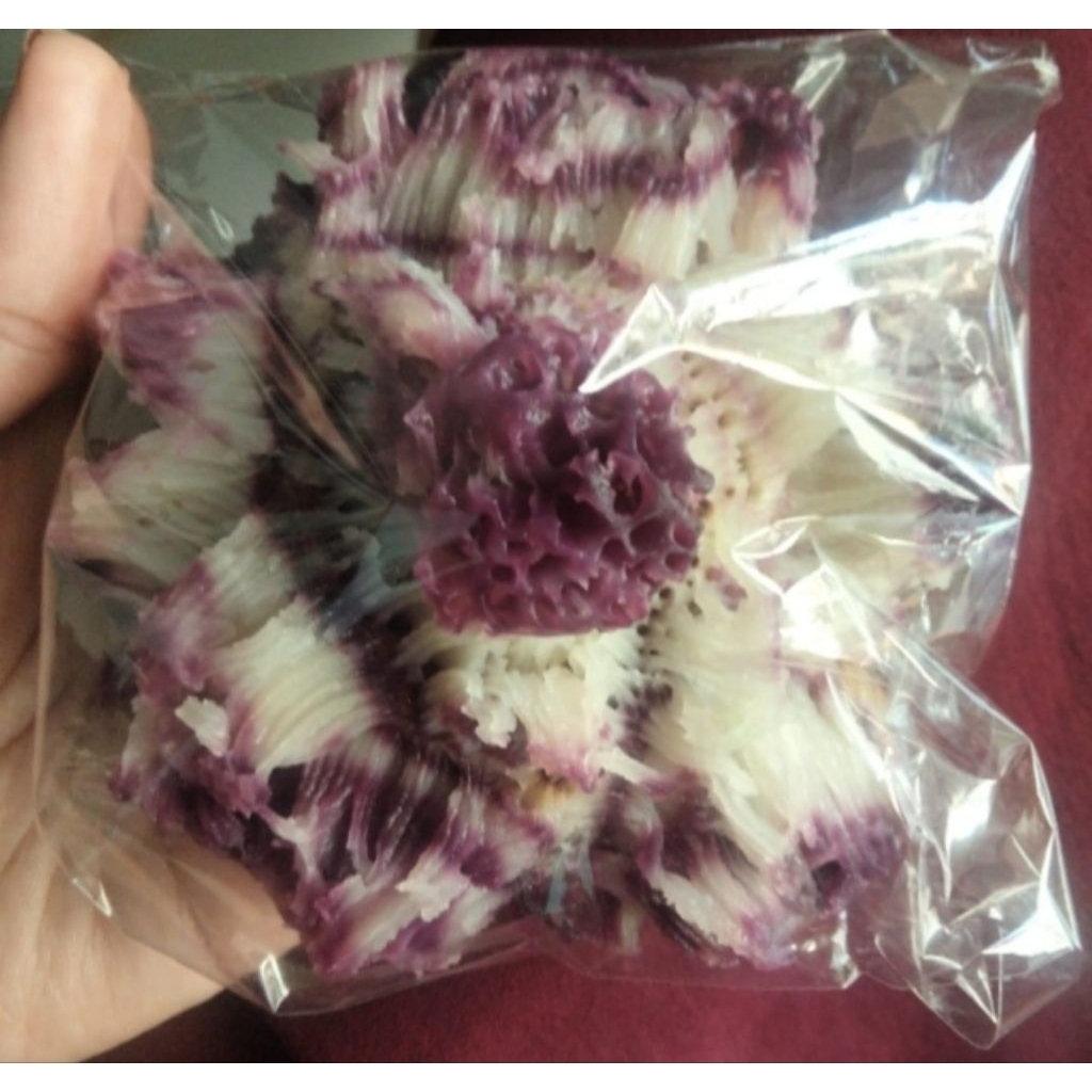 kue BIKANG