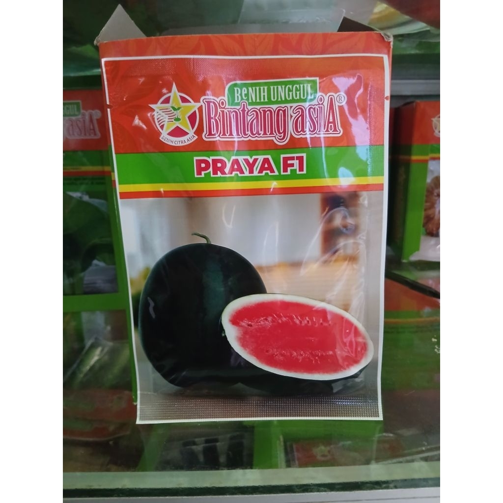 PRAYA F1 @20gr 100%ori