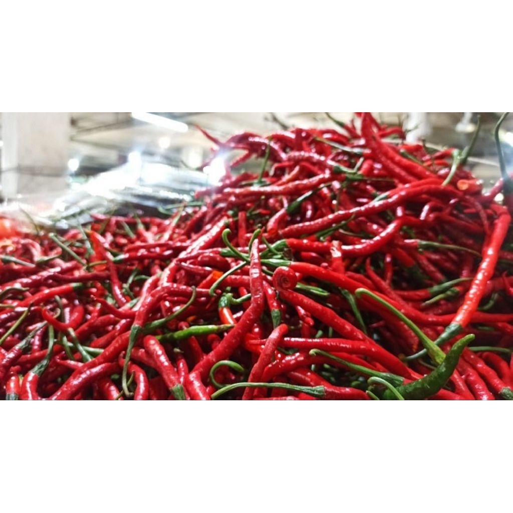 cabai kriting merah 1kg