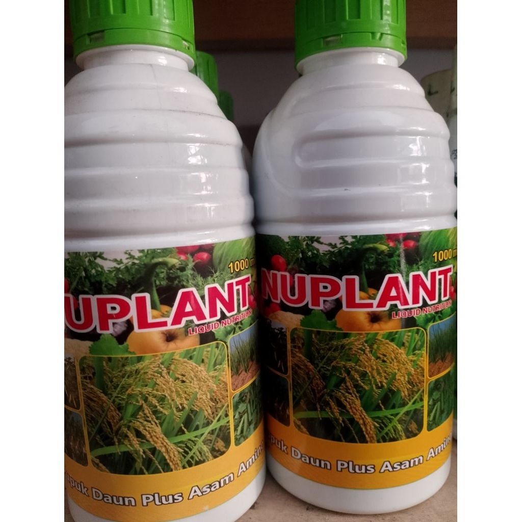 NUPLANT  NUTRISI, ASAM AMINO 1LITER