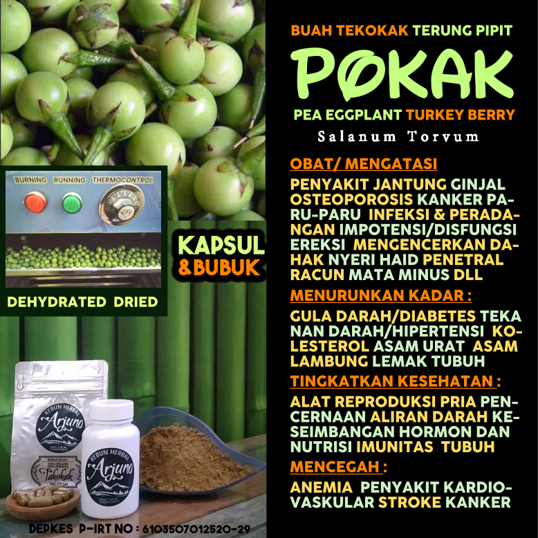 Buah Tekokak Dehydrated Dried Kapsul Bubuk Kesehatan  Obat Mata Minus Penyakit Jantung Ginjal Osteop