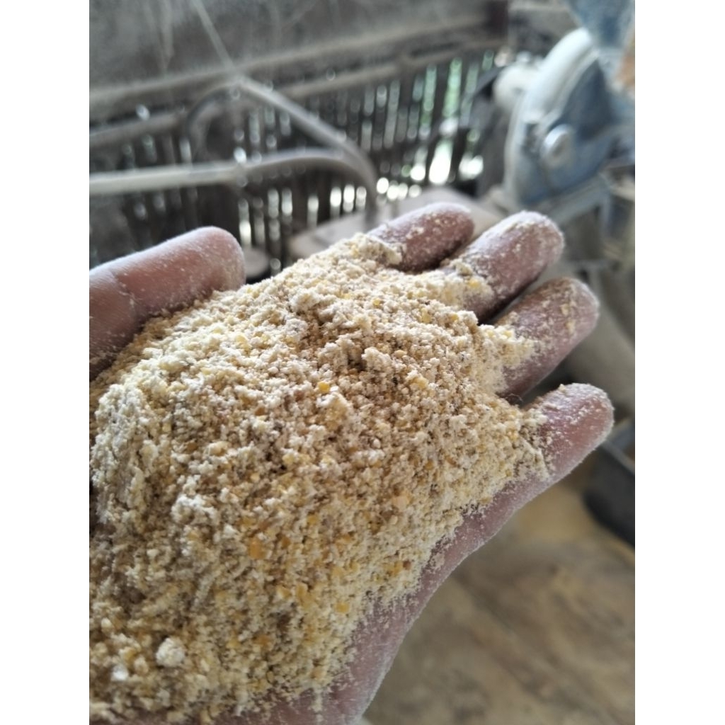 Tepung Jagung Pakan Ternak Kaya Protein 2kg
