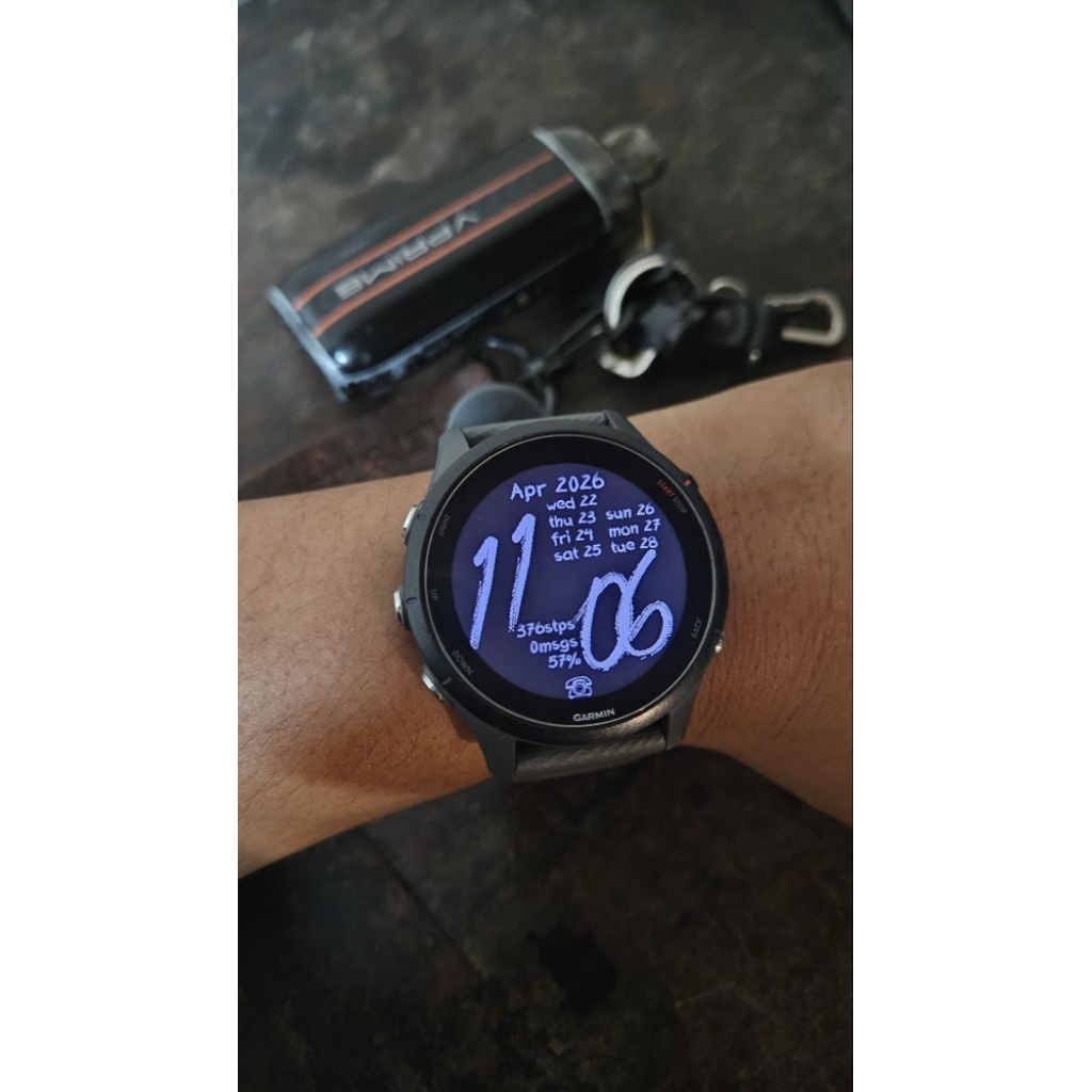 garmin fr 255 originual