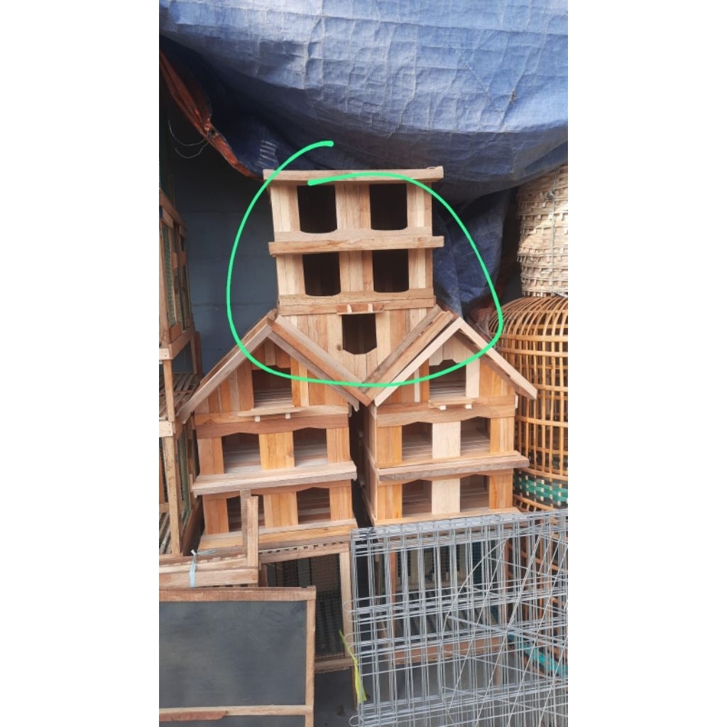 pagupon burung 5 pintu pagupon isi 5 pintu