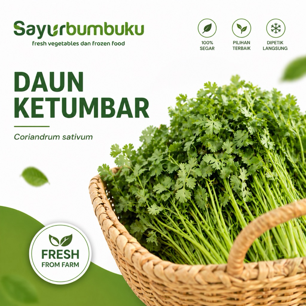 Daun Ketumbar Segar Premium | Fresh Coriander | Cilantro | Sayurbumbuku