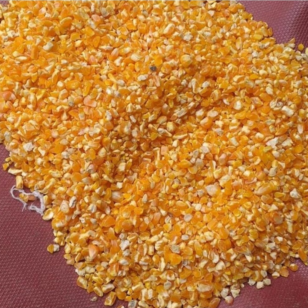 PAKET GOCENG  Jagung pecah untuk pakan ayam Bangkok Petelur Pedaging Kampung Aduan Broiler dan ungga