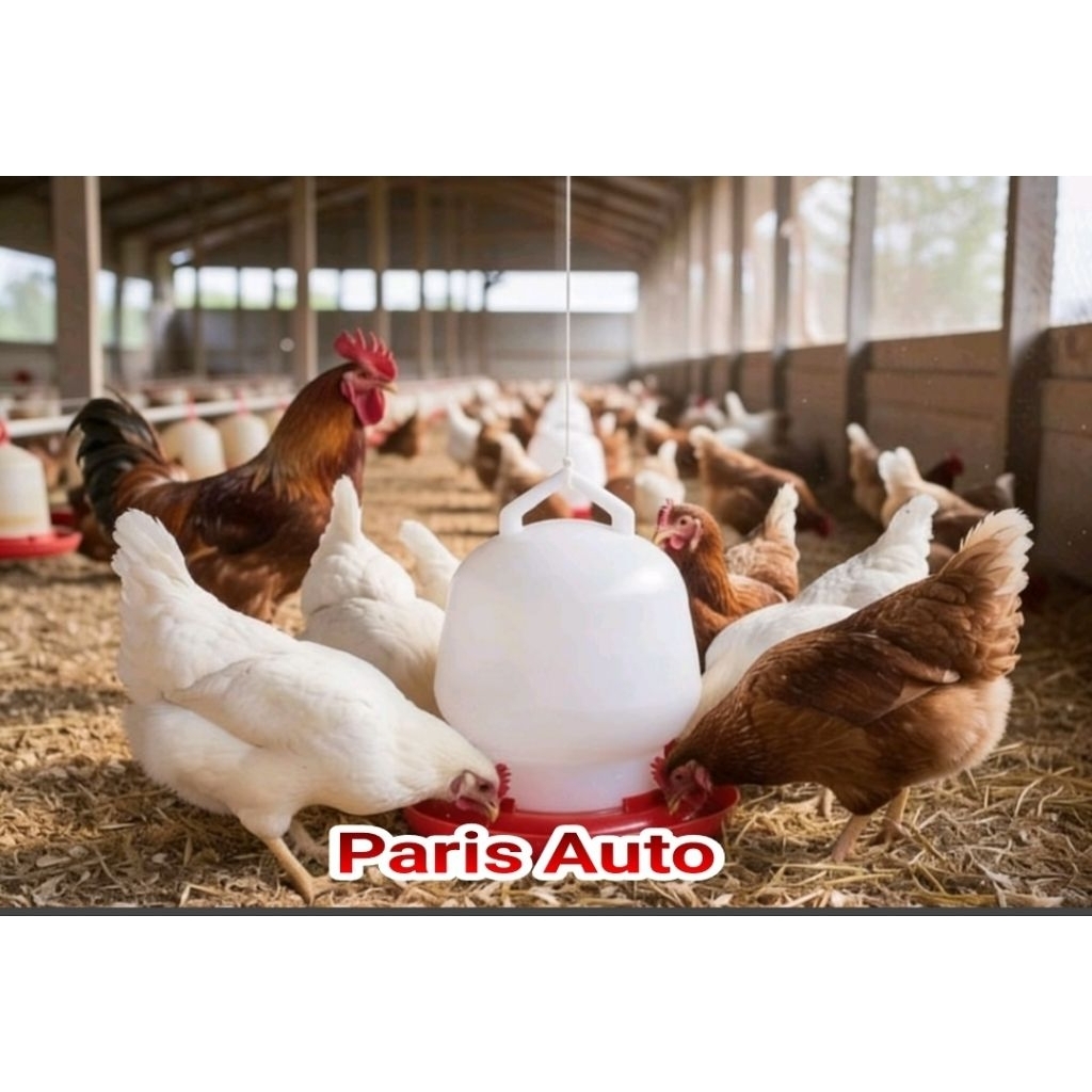 Galon Tempat Minum Ayam 8 Liter galon air 8Liter JUMBO