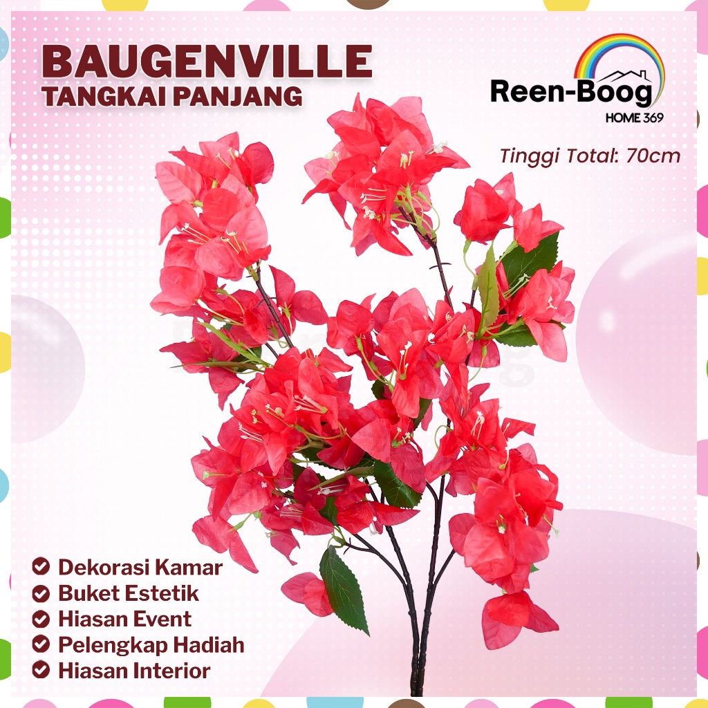 Bunga Bougainvillea Spectabilis Bugenvil Besar dengan Warna Menawan dan Tahan Lama | Dekorasi Pelami
