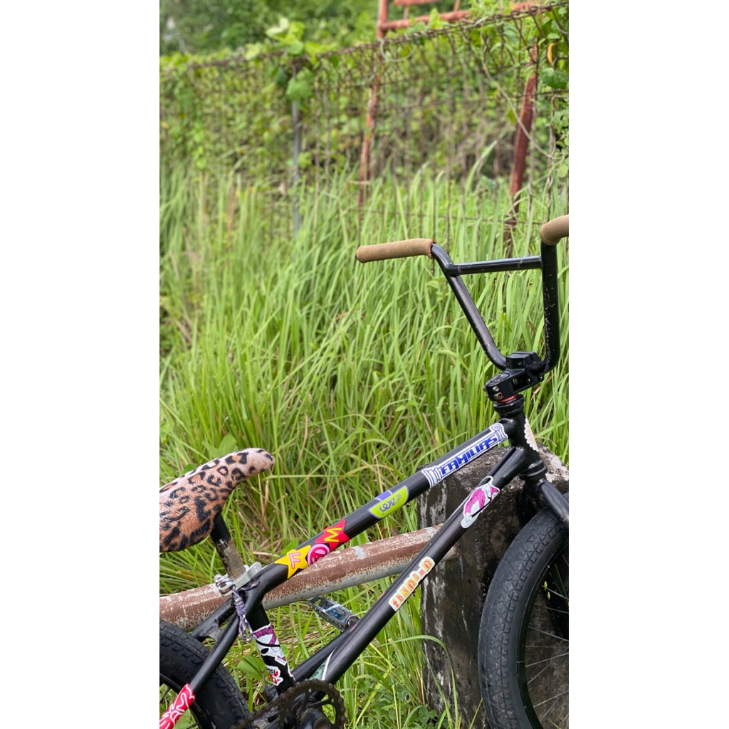 bmx street