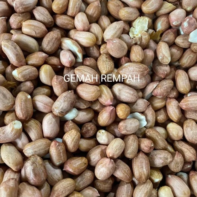Kacang Tanah China Super Premium Besar - Besar / Kacang Tanah Super Premium / Kacang Tanah Super Pre