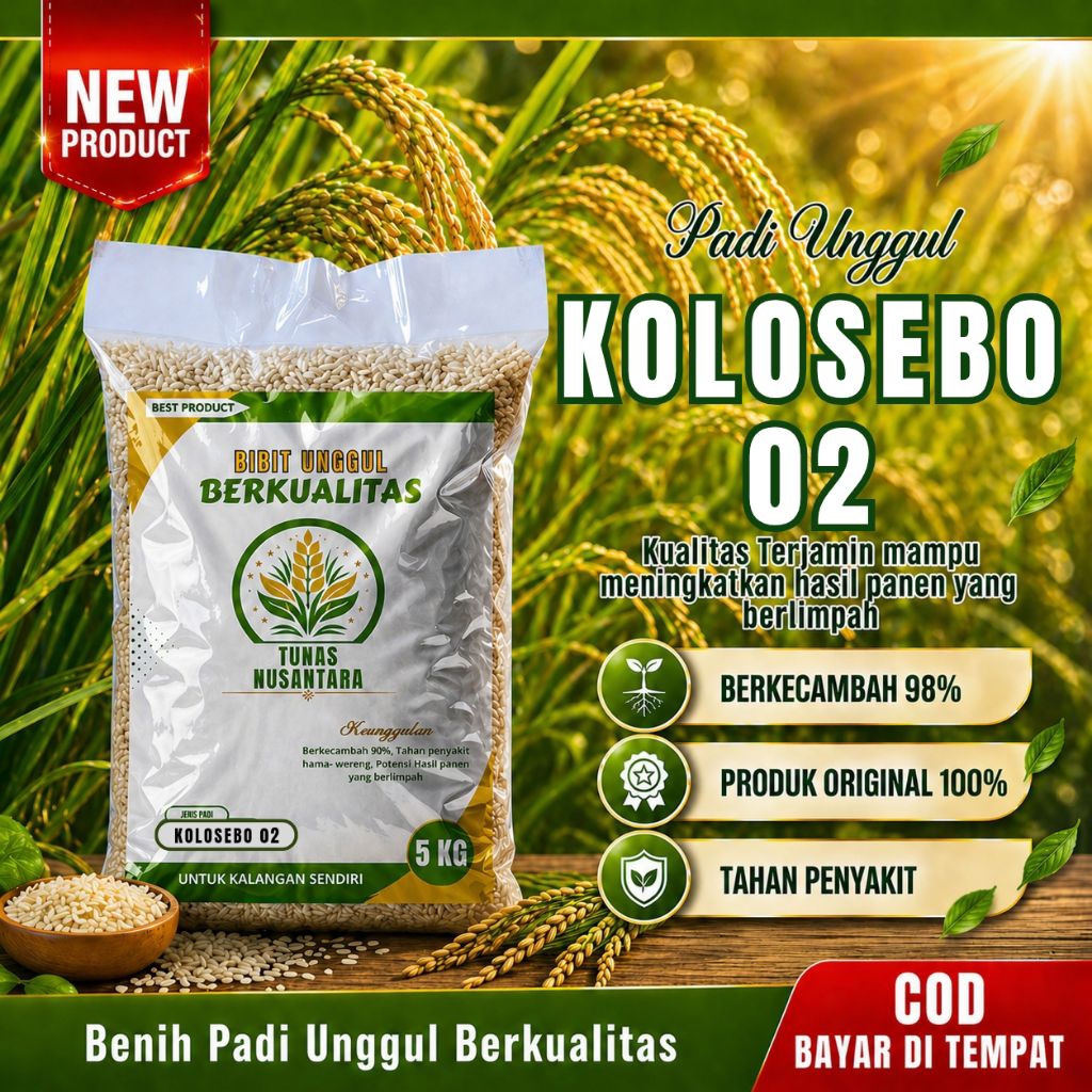 Benih padi unggul KOLOSEBO 02 kemasan 5kg original