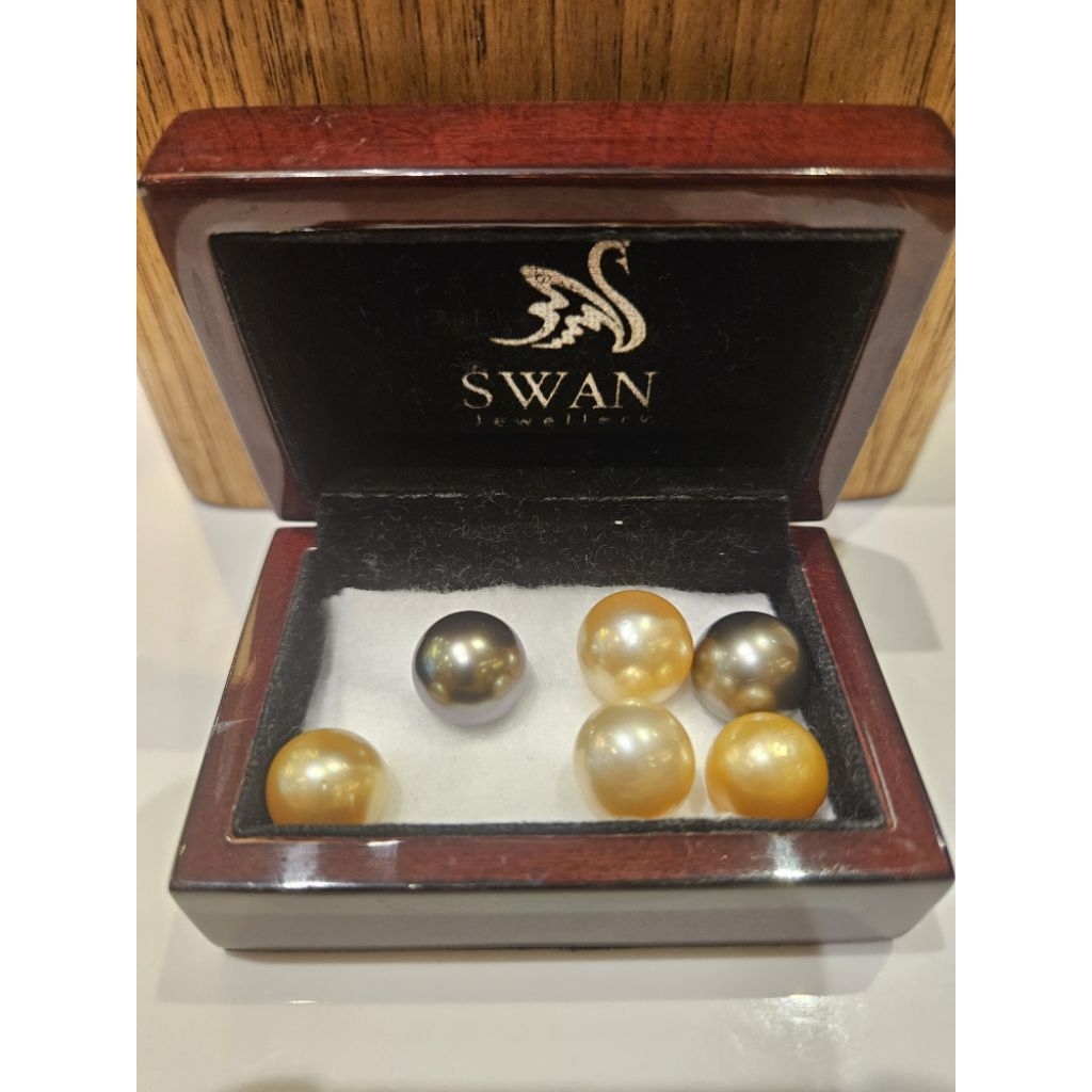 Pearl Mutiara Air Laut Asli Maluku GRADE AAAAA Kualitas Export