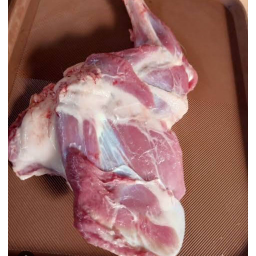 paha kambing muda segar halal berkualitas