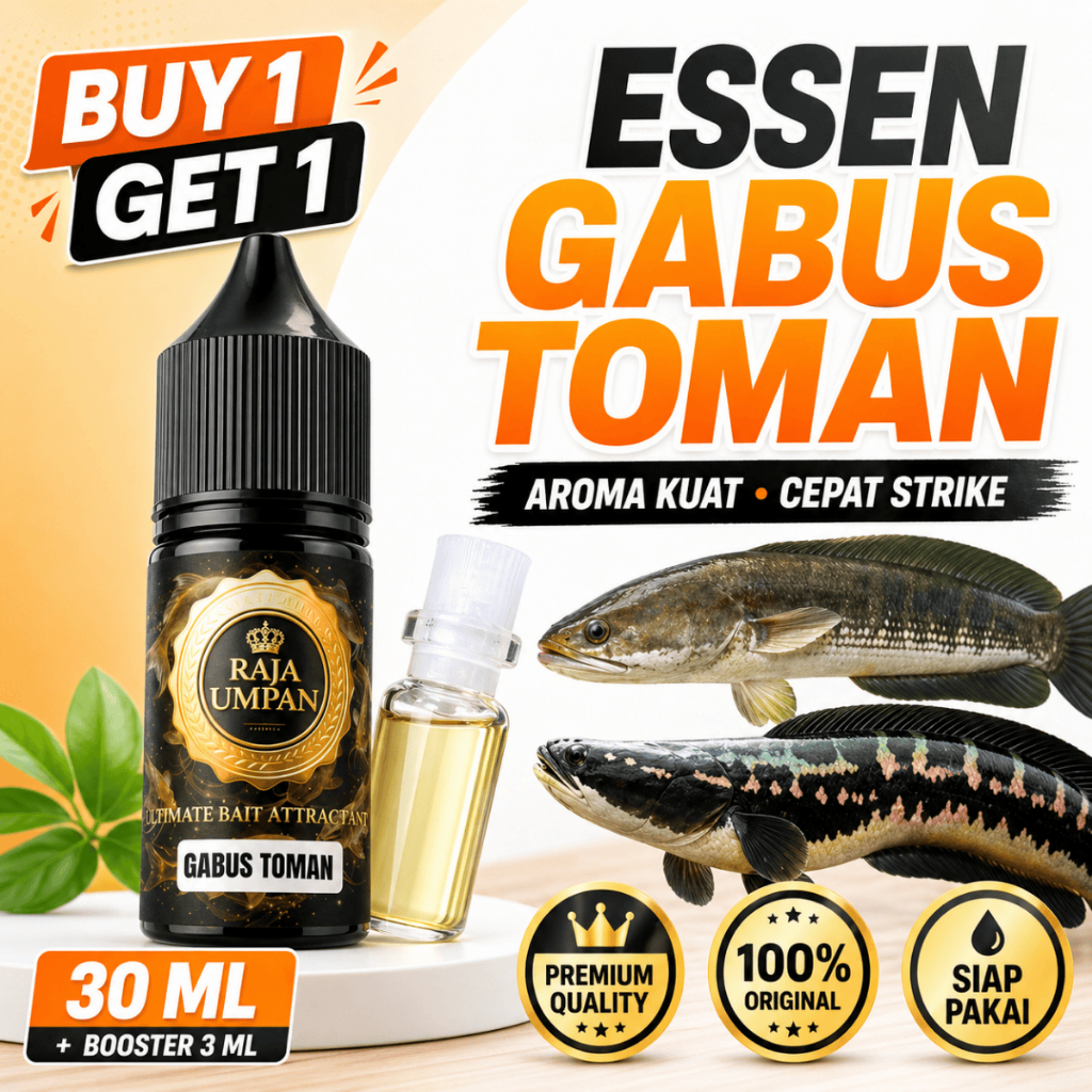 Essen Ikan Gabus Toman Betok Liar Paling Gacor Ampuh Media Cacing Spesial Aroma Amis Kuat Indukan