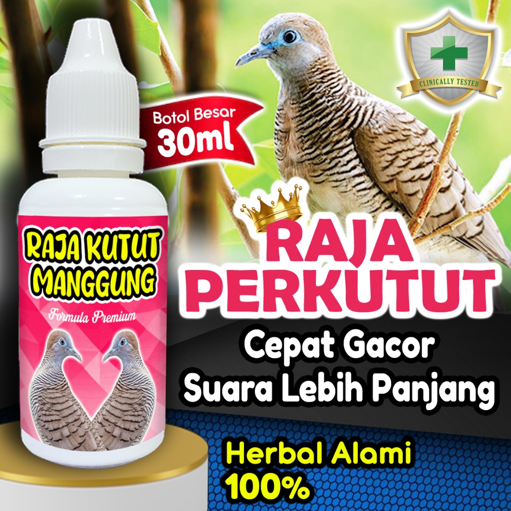 Jamu Perkutut Gacor "RAJA KUTUT MANGGUNG" Vitamin Kicau Burung Perkutut - Menjaga Stamina dan Suara 