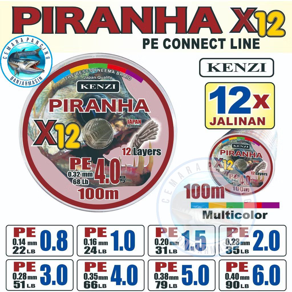 PE Piranha X12 0,8/1 100 Meter Multicolor
