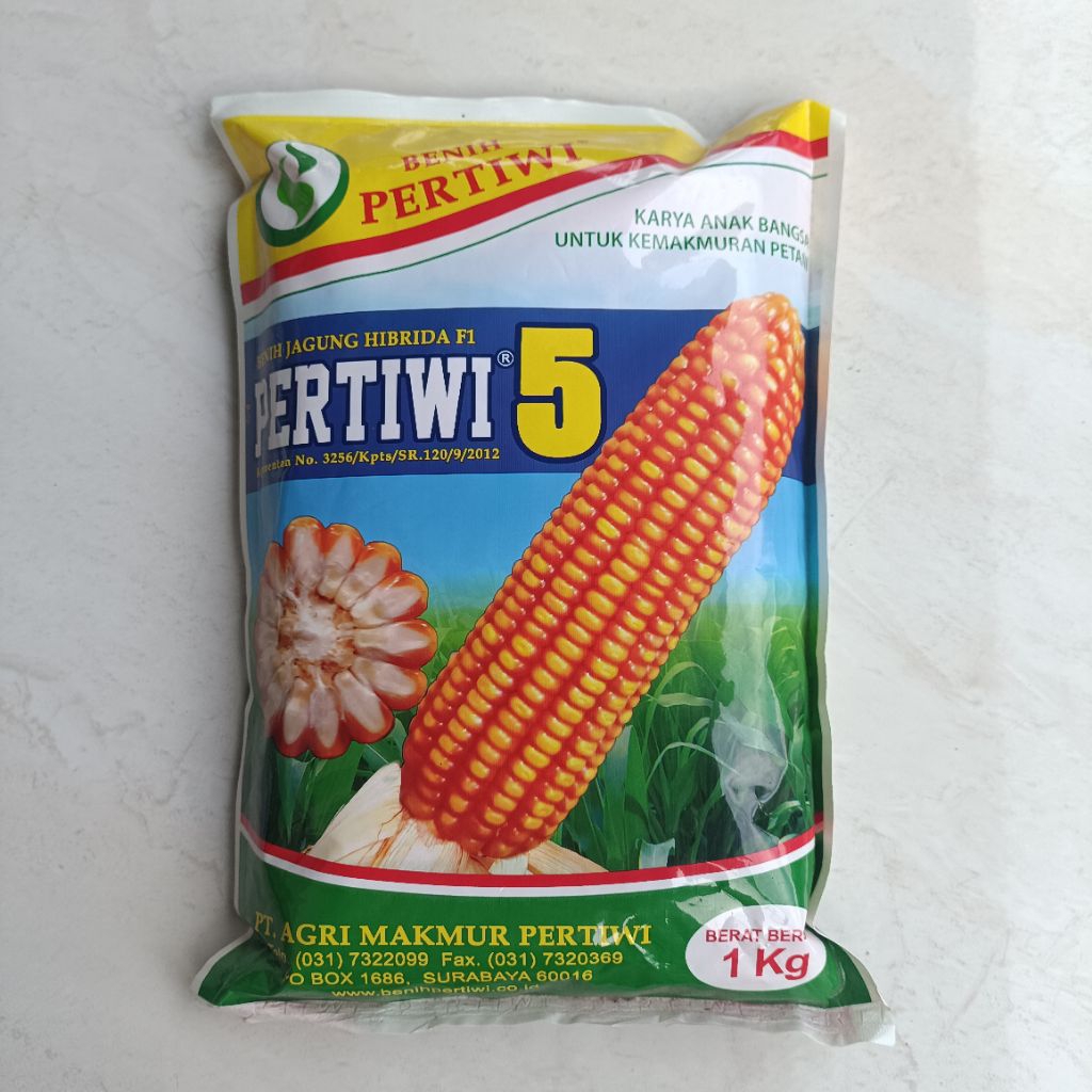 Benih Jagung Pertiwi 5 -1 kg