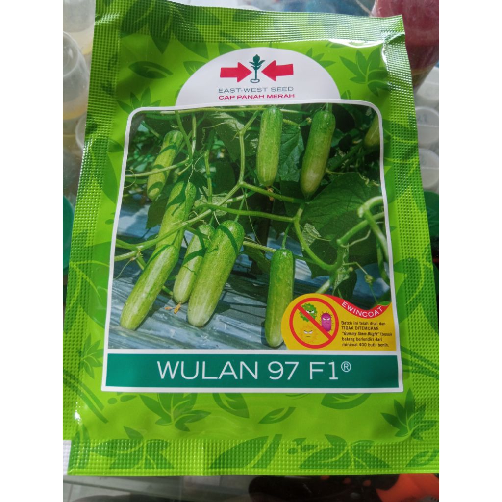 Timun Wulan97 F1