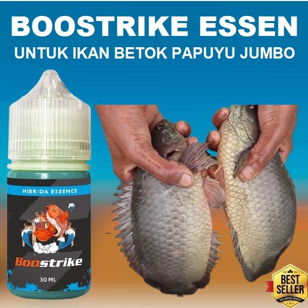BOOSTRIKE ESSEN IKAN BETOK PAPUYU JUMBO SUPER GACOR SIAP PAKAI ISI 30ML | Aroma Kuat Bikin Ikan Cepa