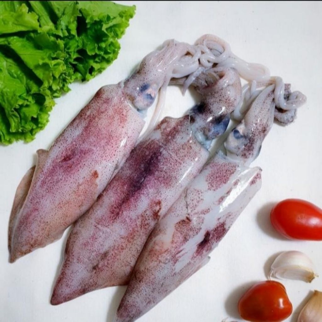 Cumi Segar 500gr - Bakul Sayur Bandung