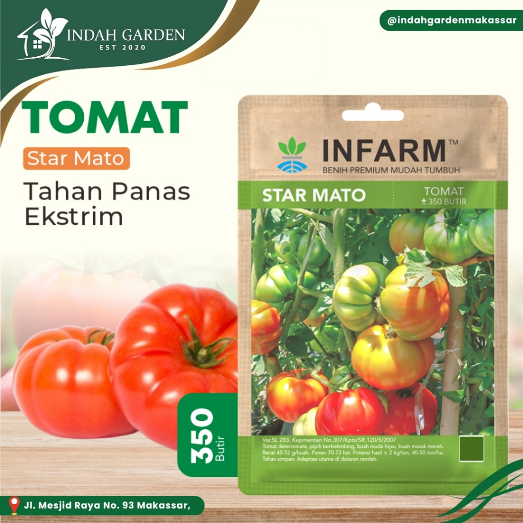 INFARM - Benih Buah Tomat Mawar Super, Benih Buah Tomat Star Mato Premium - Biji Buah Tomat Berkuali