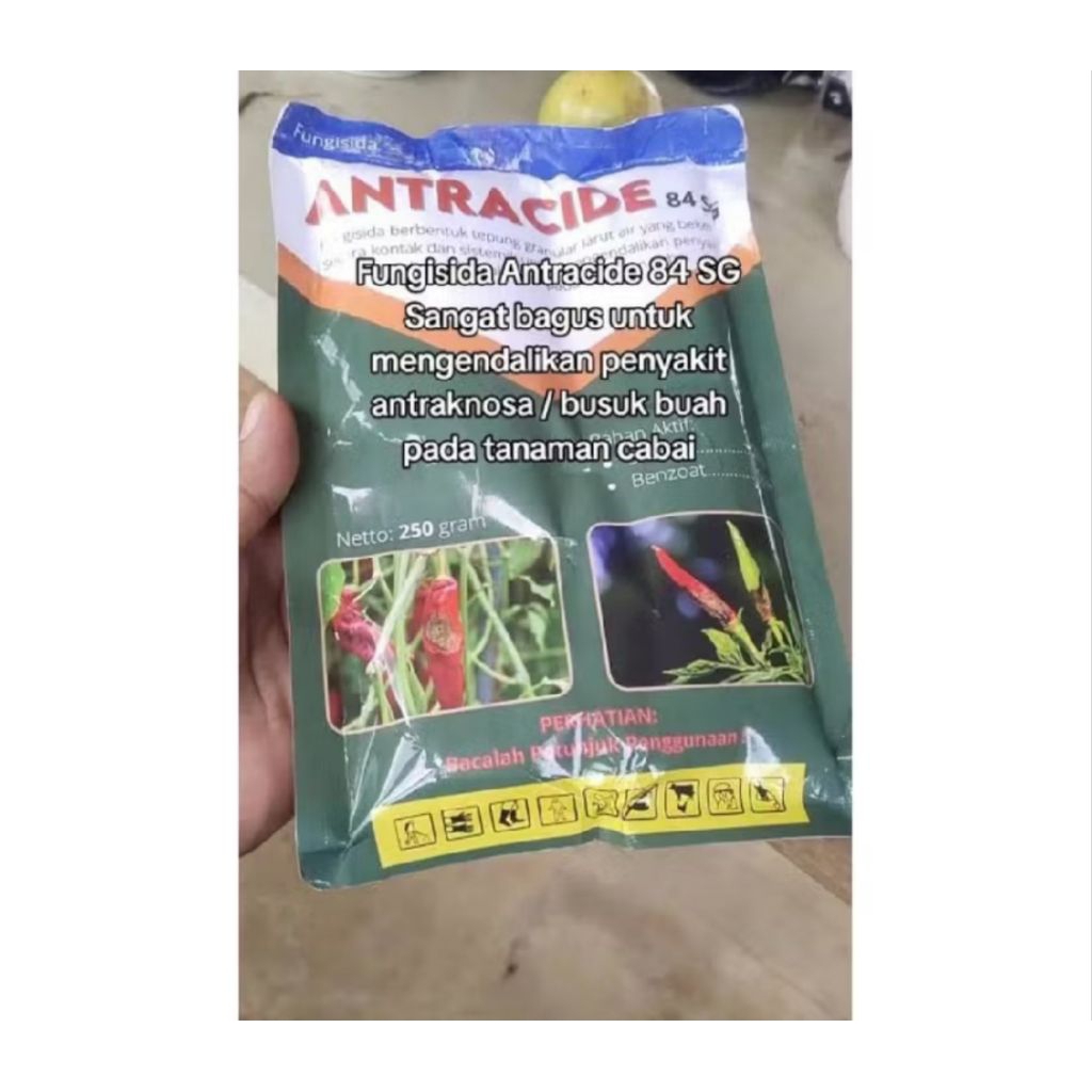 Fungisida Antracide 84 sg 250 gram