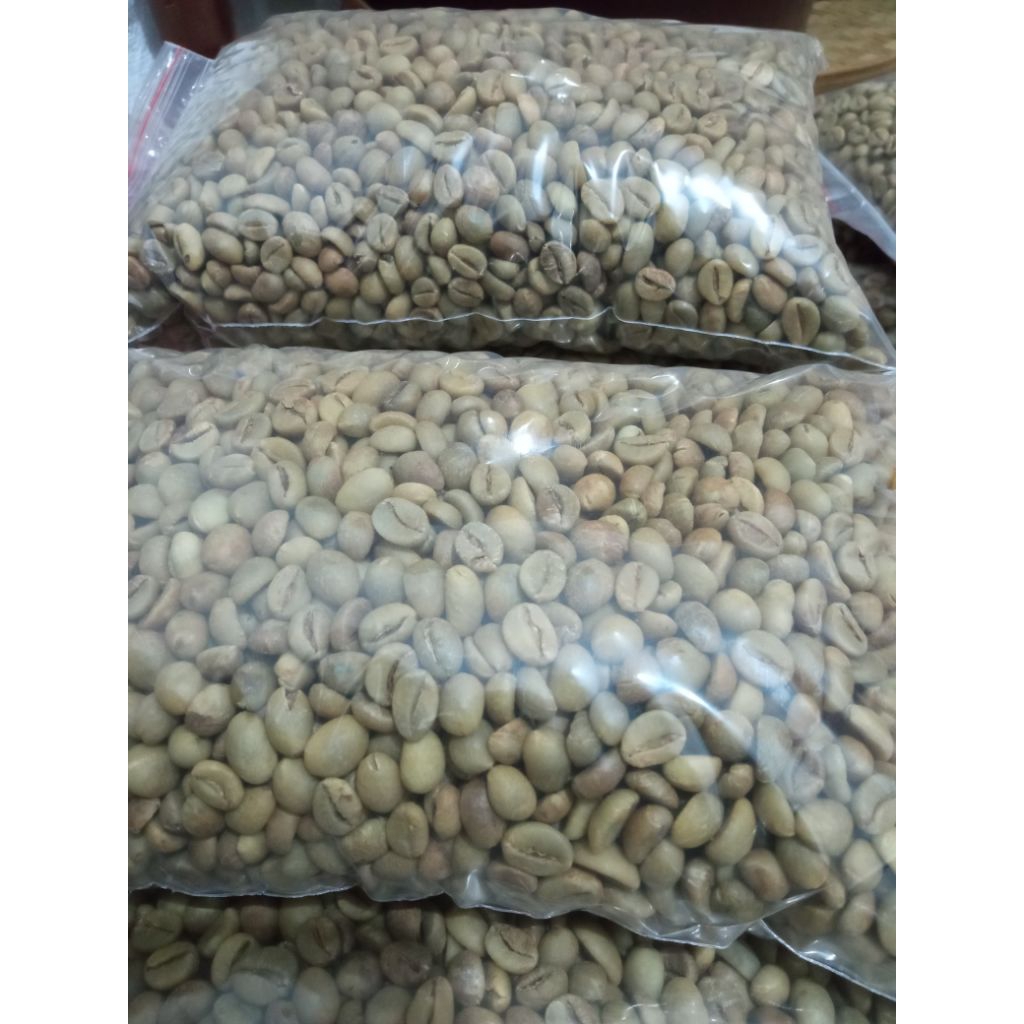 robusta dampit