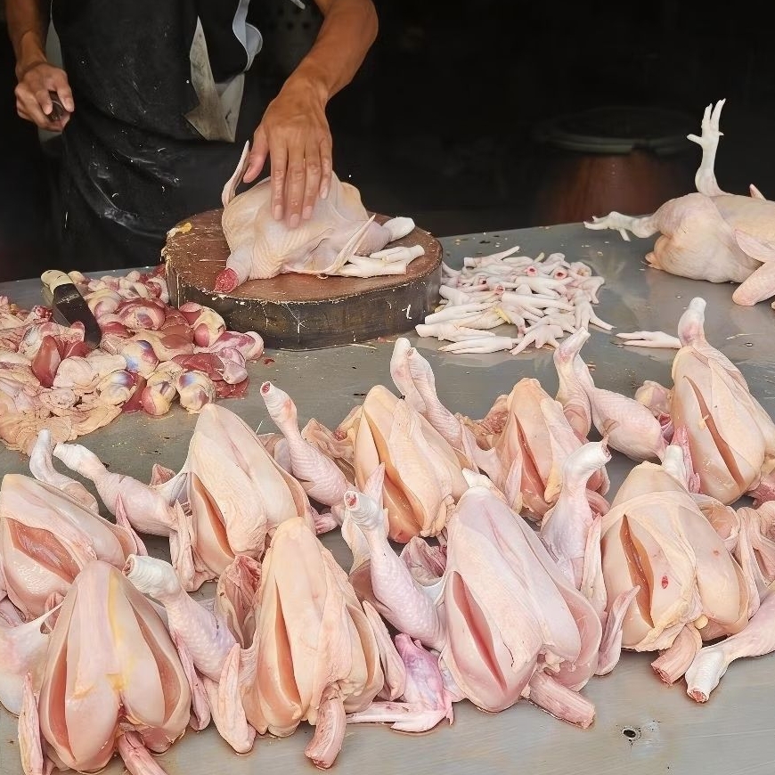 ayam potong segar Makassar 1 ekor berat 0,8 koma tinggi kg