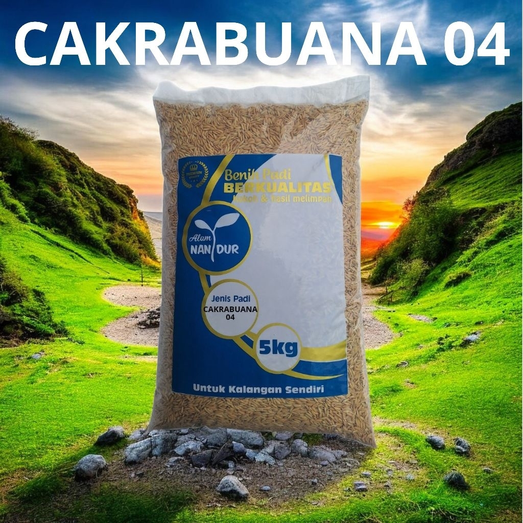 BIBIT | BENIH PADI CAKRABUANA 04 KEMASAN 5KG