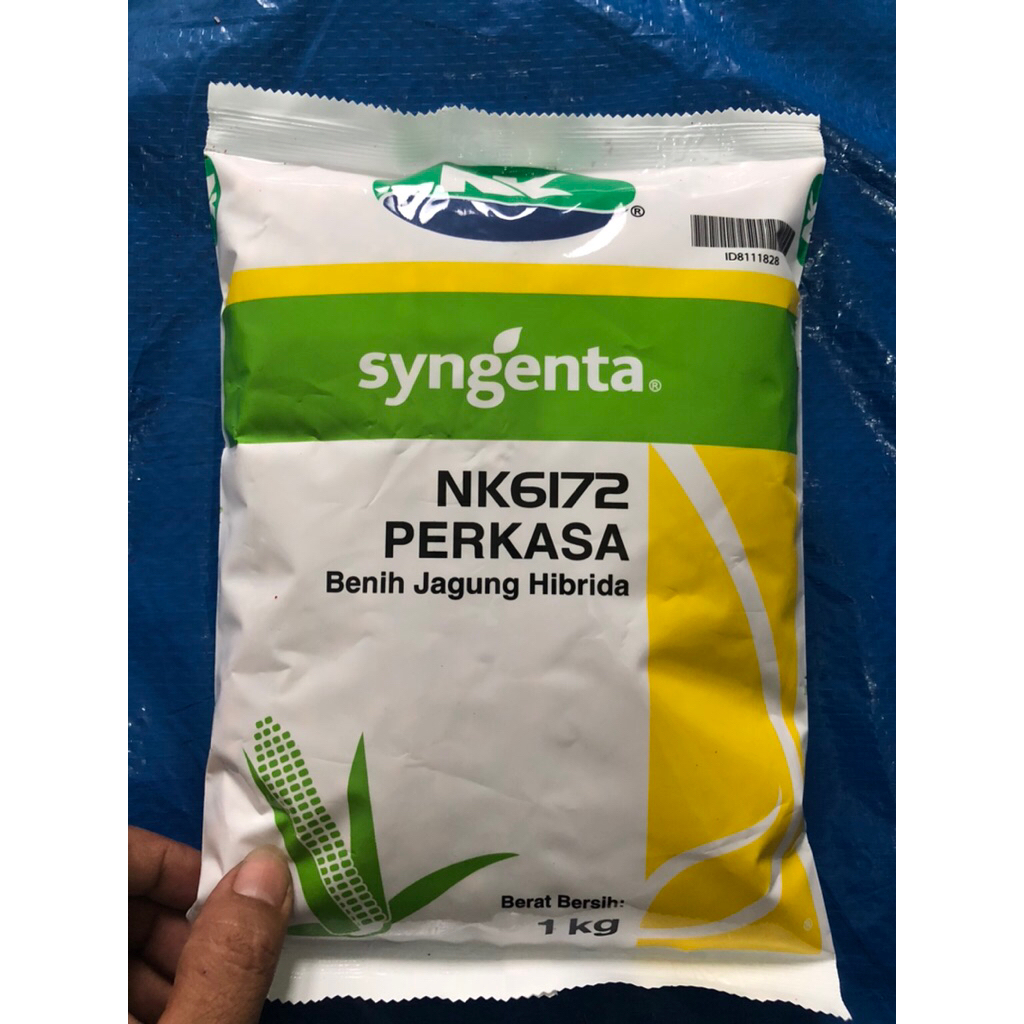 benih jagung NK perkasa 6172 kemasan 1kg  #bibit jagung #benih perkasa #jagung perkasa#NK perkasa 61