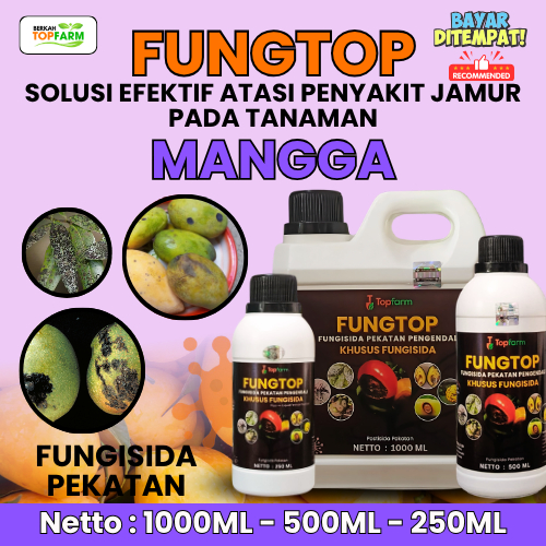 Obat Jamur Pohon Mangga / Fungisida Mangga / Pestisida Pengendali Penyakit Jamur / Obat Jamur Hitam 
