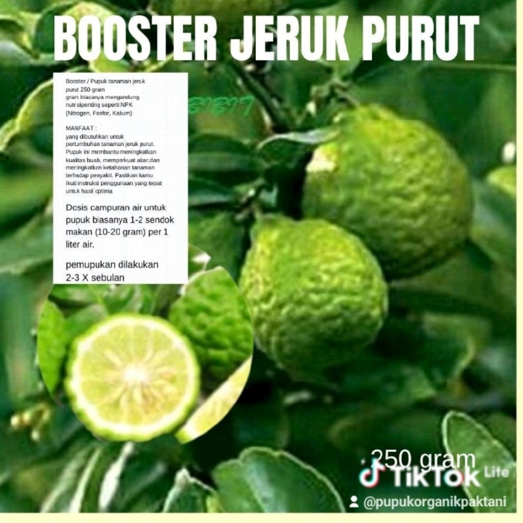 Pupuk Pelebat Jeruk Purut