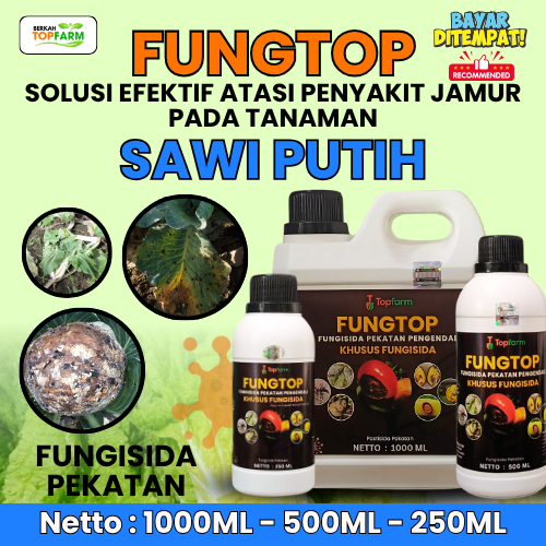 Obat Bercak Daun Sawi Putih / Pestisida Pembasmi Infeksi Jamur / Fungisida Obat Jamur Daun / Obat Bu