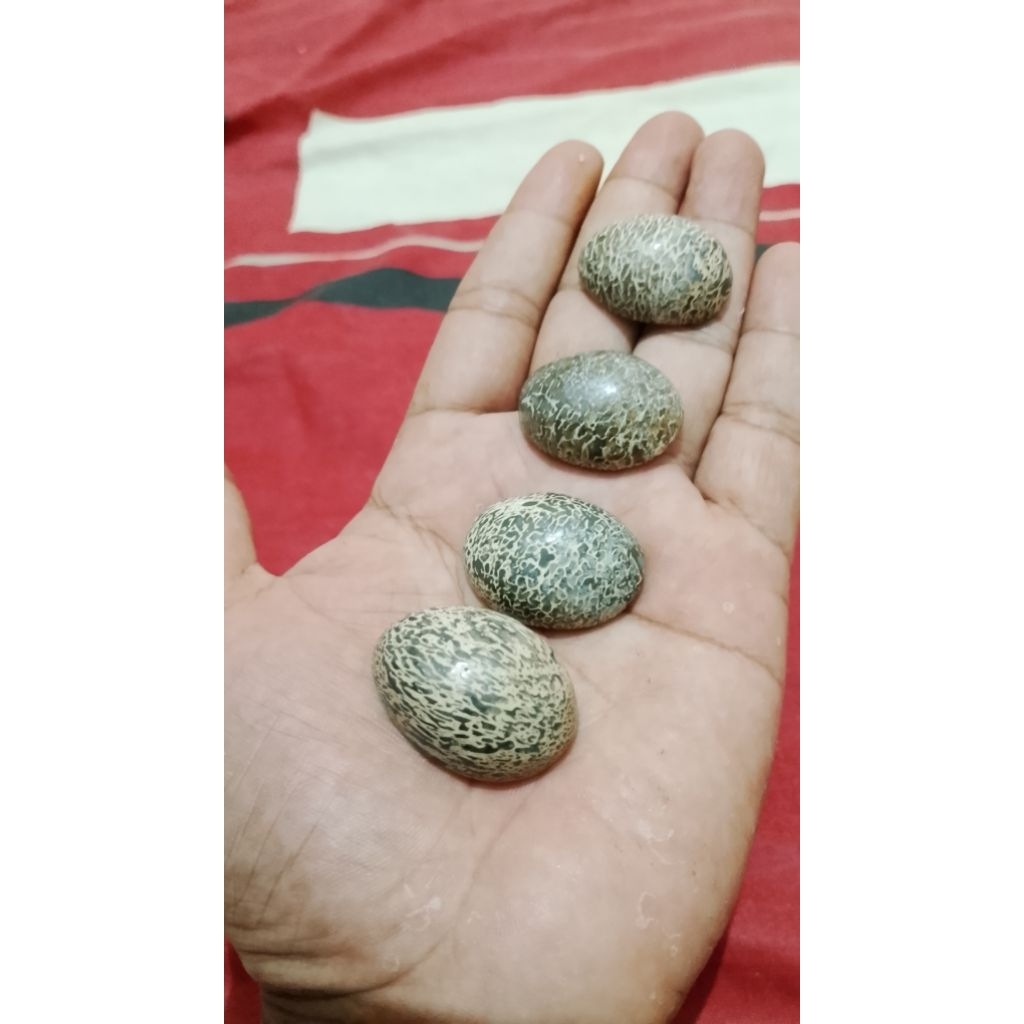 Batu wisa cirebon asli natural.