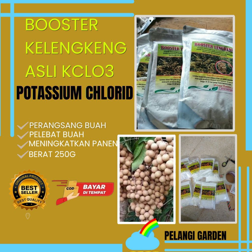 TERBUKTI AMPUH  Boster Kelengkeng Buat Kelengkeng, Boster Kelengkeng Cair, Boster Kelengkeng Itoh