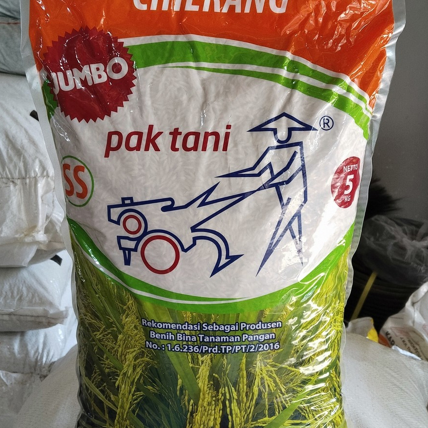 Benih Padi Ciherang 5 kg dari Saprotan Utama (Pak Tani) - benih inbrida unggul berlabel yang terkena