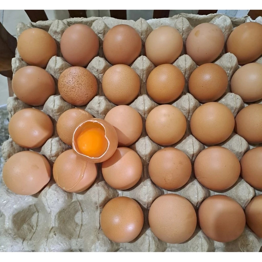 Telur / Telor Ayam OMEGA (1kg) Fresh / Eceran & Grosir / lokasi Kasihan Yogyakarta