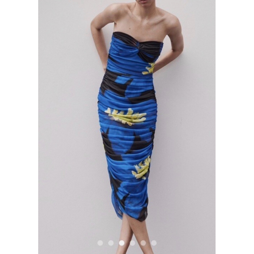 Zara Mesh Strapless Floral Print Maxi Dress