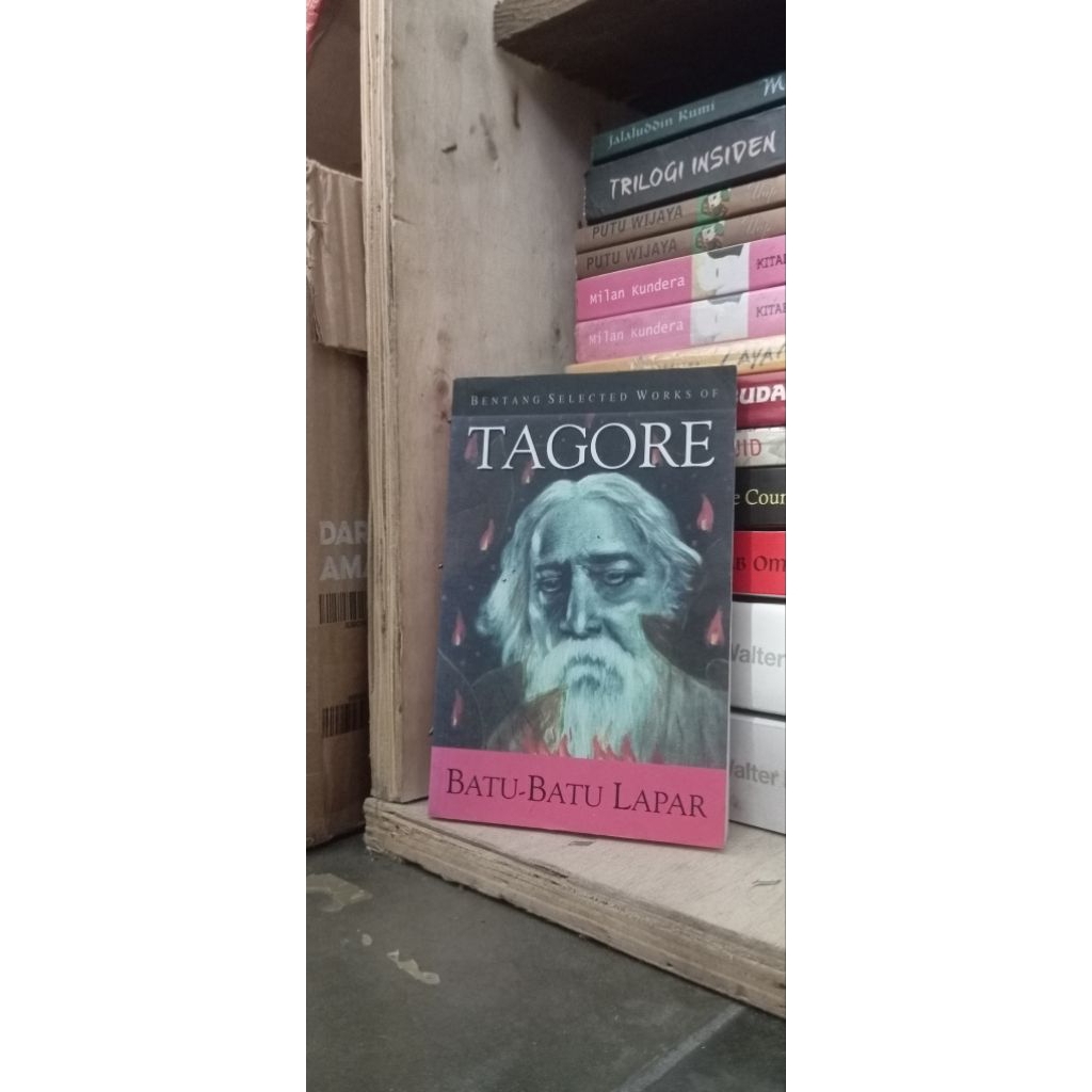 Batu Batu Lapar, Tagore, Bentang