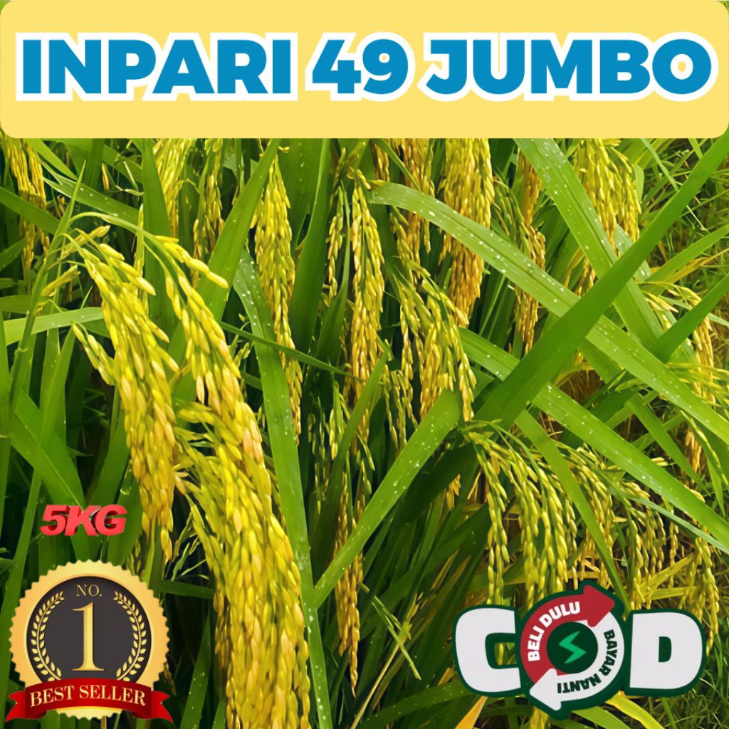 Bibit Benih Padi Inpari 49 Jumbo Berkualitas Unggul Kualitas Premium Kemasan 5kg