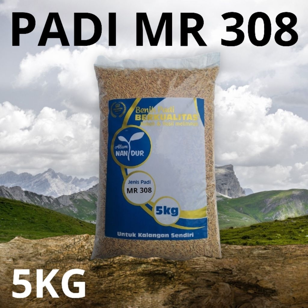 BIBIT | BENIH PADI MR 308 KEMASAN 5KG